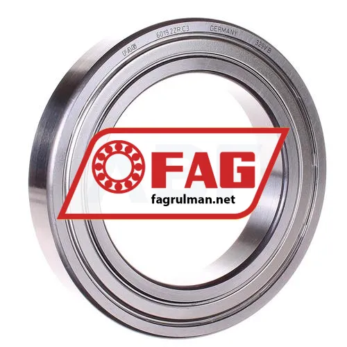 FAG 6019-2ZR-C3