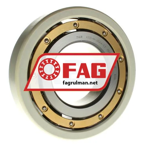 FAG 6320-M-J20AA-C3