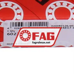 FAG 6022-2RSR rulman resim 5