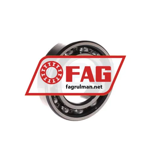 FAG 6006ZR ürün fotoğrafı 2