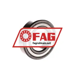FAG 6006ZR