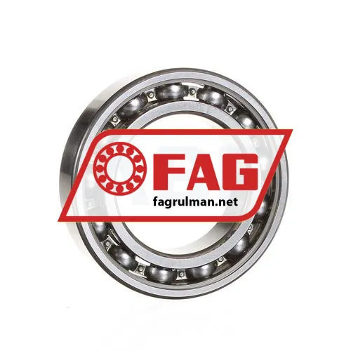 FAG 6009-C3-J22R