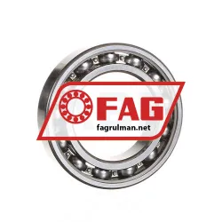 FAG 6009-C3-J22R