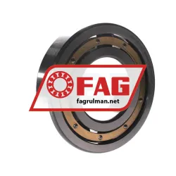FAG 6319-M-C3