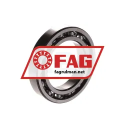 FAG 61907