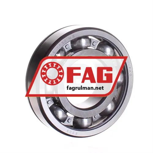 FAG 6309N