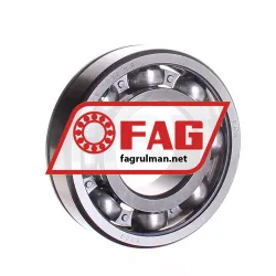 FAG 6309N