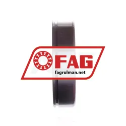 FAG 6309N rulman resim 2