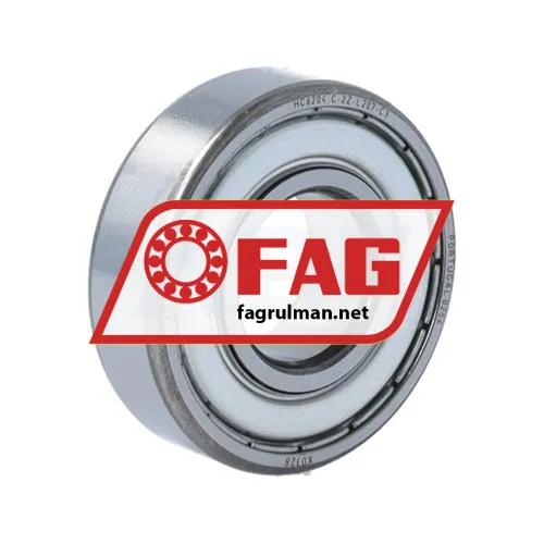 FAG HC6204-C-2Z-L207-C3