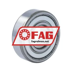 FAG HC6204-C-2Z-L207-C3 rulman resim 2