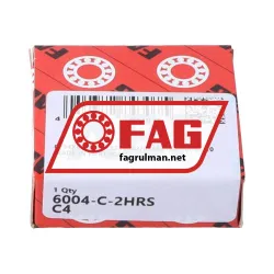 FAG 6004-C-2HRS-C4>V rulman resim 3