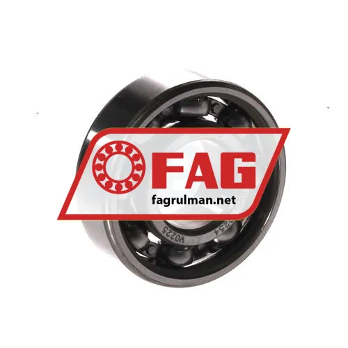FAG 6202