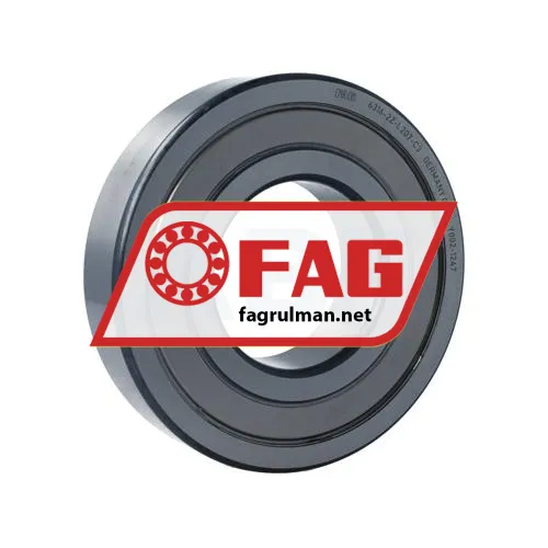 FAG 6316-2Z-L207-C3