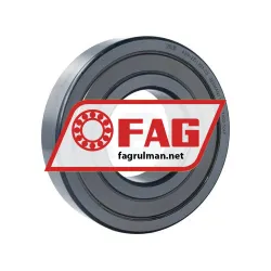 FAG 6316-2Z-L207-C3