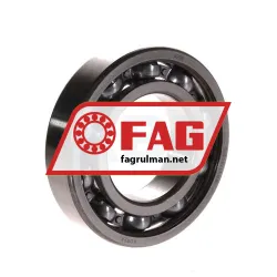 FAG 6209