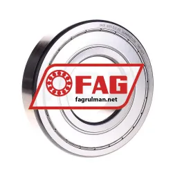 FAG 6313-C-Z-C3