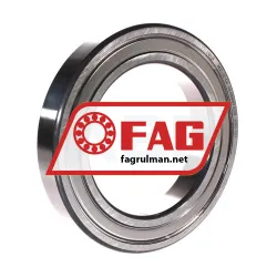 FAG 6021-2Z-C4