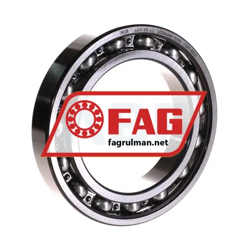 FAG 6017-P5-C2