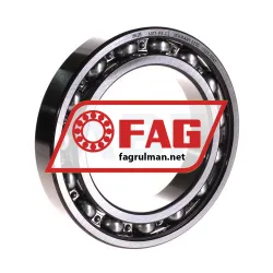 FAG 6017-P5-C2