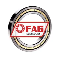 FAG 6020-M-C3