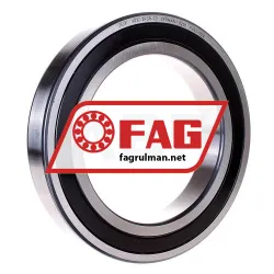 FAG 6005-Z
