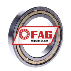 FAG 6015M-C3