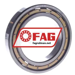 FAG 6015M