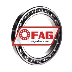 FAG 61934