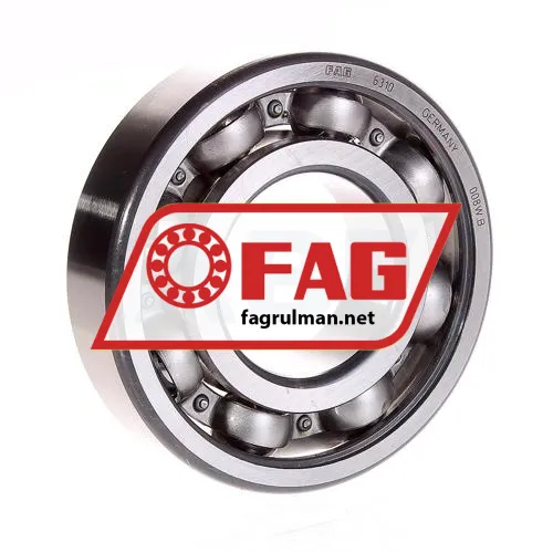 FAG 6310