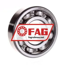 FAG 6310
