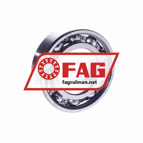 FAG 6005
