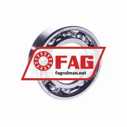 FAG 6005