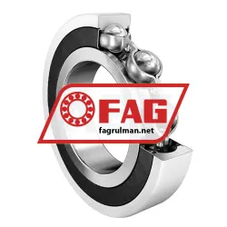 FAG 6313-2RSR-J20AA-C3