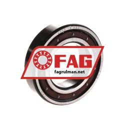 FAG 6006TB-P63