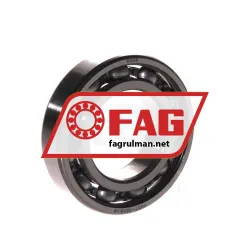 FAG 6006