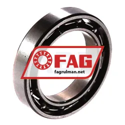 FAG 61700-2Z-HLC rulman resim 2