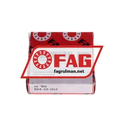 FAG 604-2Z-HLC rulman resim 2
