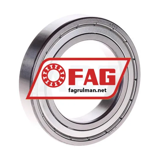 FAG 6010ZR
