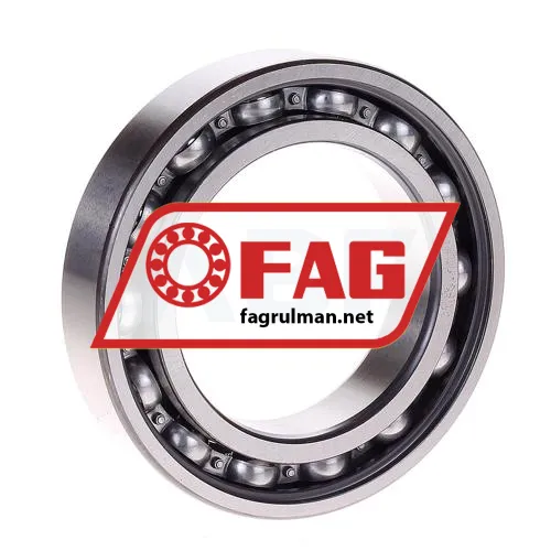 FAG 6010ZR ürün fotoğrafı 2