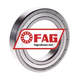 FAG 6010ZR