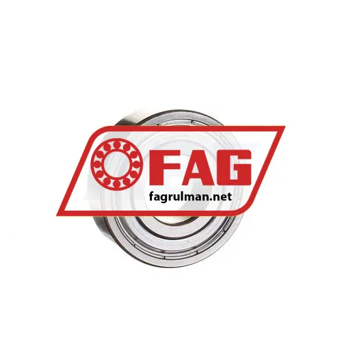 FAG 201SS3G2