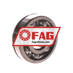 FAG 6304N