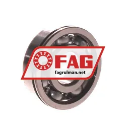 FAG 6304N rulman resim 2
