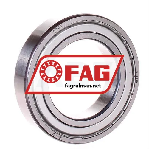 FAG 6009ZR ürün fotoğrafı 2