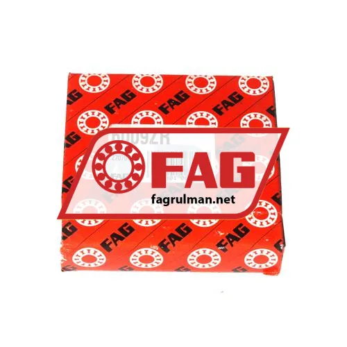 FAG 6009ZR ürün fotoğrafı 3
