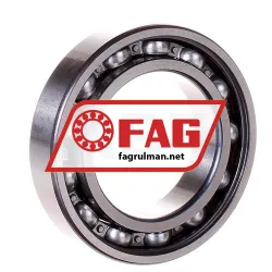 FAG 6009ZR
