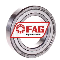 FAG 6009ZR rulman resim 2