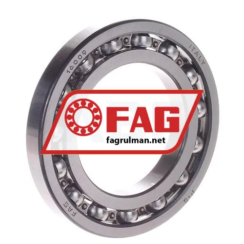 FAG 16009