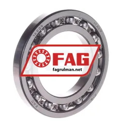FAG 16009