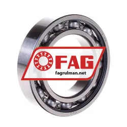 FAG 6009-C3